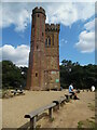 TQ1343 : Leith Hill Tower by David Hillas