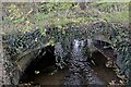 SP6986 : Bridge arch over the Welland by Bob Harvey