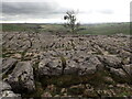 SD8964 : Limestone pavement above Malham Cove by Marathon