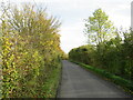 TL5826 : Minor lane near Great Dunmow by Malc McDonald