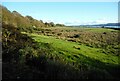 NS3576 : Raised beach, Cardross by Richard Sutcliffe