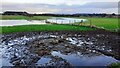 NY4457 : Muddy and flooded fields at Scotby Holmes by Roger Templeman