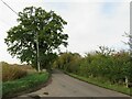 TL6024 : Duck Street, Little Easton, near Great Dunmow by Malc McDonald