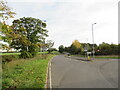 TL6223 : B1008 road near Great Dunmow by Malc McDonald