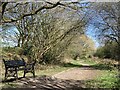 SJ7949 : Bench seat on 'the Lines' by Jonathan Hutchins