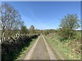 SJ8147 : Track along edge of Silverdale Country Park by Jonathan Hutchins