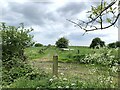 SJ8654 : Farm tracks near St James' Church, Newchapel by Jonathan Hutchins