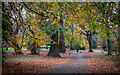 J5081 : Castle Park, Bangor by Rossographer