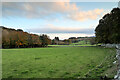 SH7571 : Field and woodland south of Rowen by Andy Waddington