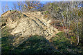 SO9391 : Limestone in Wren's Nest Nature Reserve near Dudley by Roger  D Kidd