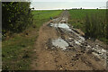 SP1640 : Track near Mickleton Hills Farm by Derek Harper