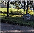 SO4901 : Grange Springs Fishing Lakes roundel,  Trelleck Grange by Jaggery