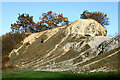 SO9392 : Limestone reef mounds on Wren's Nest Hill, Dudley by Roger  D Kidd