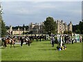 TF0406 : Final of the Burghley Young Event Horse 4yo by Jonathan Hutchins