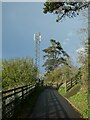 SX9884 : Communications mast, by NCN2, Lympstone by David Smith