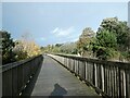 SX9884 : The second boardwalk between Lympstone and Topsham on NCN2, Nutwell Park by David Smith