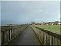 SX9886 : The third boardwalk between Lympstone and Topsham on NCN2 by David Smith