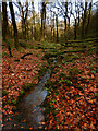 SD7356 : Tiny stream in Gisburn Forest by Andy Waddington