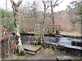 NY1520 : Footbridge over the River Cocker, near Keswick by Malc McDonald