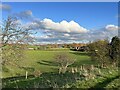 SJ7851 : Farmland at Park End by Jonathan Hutchins