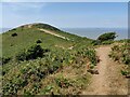 ST2958 : England Coast Path on Brean Down by Mat Fascione