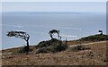 ST2858 : View from Brean Down across Bridgwater Bay by Mat Fascione