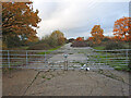 TM1588 : The former Military Sidings at Tivetshall by Adrian S Pye