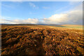 NY8230 : Heather and Sedge, Widdybank Moss by Andy Waddington