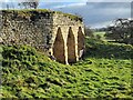 NZ0071 : Lime kilns at Shellbraes by Oliver Dixon