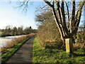 NS6874 : Marker stone by the Forth and Clyde Canal by Alan O'Dowd