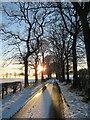 NS8339 : Tree-lined road, Boreland by Alan O'Dowd