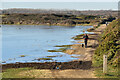 SZ3292 : Frozen wetland, Pennington Marshes by David Martin