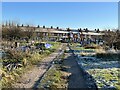 SJ9223 : Middle Walk, Coton Fields Allotments by Jonathan Hutchins