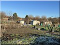 SJ9223 : Coton Fields Allotments by Jonathan Hutchins