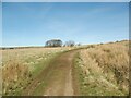 NY2736 : The Cumbria Way near Turpin Hill by Adrian Taylor