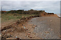 TA4114 : Spurn Warren by Hugh Venables