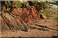 SX8456 : River cliff near Stoke Mouth by Derek Harper