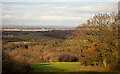 TQ3997 : Looking to Waltham Cross from Lippitts Hill by Roger Jones