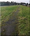 ST6690 : Path through grass, Buckover, South Gloucestershire by Jaggery