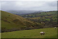 SJ9779 : Looking down the valley of Gnathole Brook, west of Charles Head by Christopher Hilton