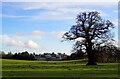 SP9632 : Woburn Park - View to the Abbey by Rob Farrow