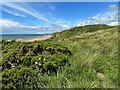 NY0400 : England Coast Path near Seascale by Adrian Taylor