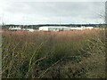 SK4835 : Toton Sidings from near Banks Road by Alan Murray-Rust