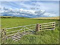 NY0302 : Field gateway near Seascale Hall by Adrian Taylor