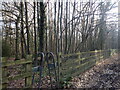 TQ7965 : An entrance to East Hoath Wood by Marathon