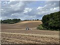 SU7179 : Ploughing the headland, Sonning Common by Simon Mortimer