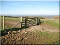 NY3441 : Field Gate near Warnell by Adrian Taylor