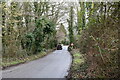 TM1996 : Lower Tasburgh: Looking towards a bridge over the river by Michael Garlick