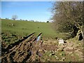 NY3440 : Muddy track near Hartrigg by Adrian Taylor