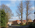 SU5947 : Two Trees on the Corner by Des Blenkinsopp